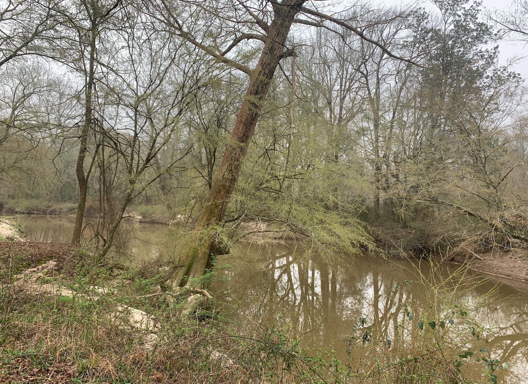 The Landing on the Bouie